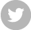 gnp-twitter-social-icon-footer